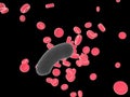 Bacterium on black background. Raster Ã¢ââ12 Royalty Free Stock Photo